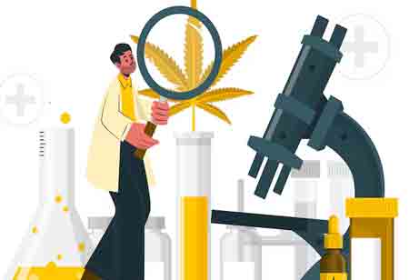 An In-Depth Guide to the Components of Cannabis Testing