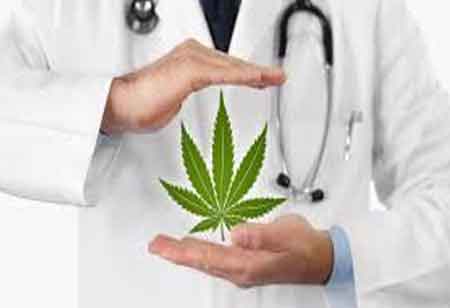 The Role of Cannabis in Healthcare and Wellness