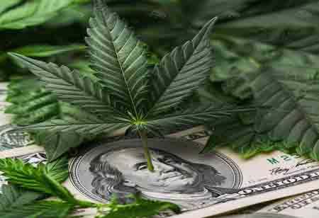 Compliance Tips for Cannabis Advertising