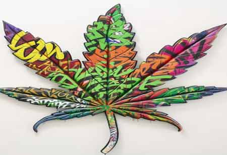 Uncovering the Truth About Cannabis and Accounting