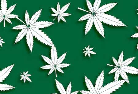 The Eco-Friendly Evolution of the Cannabis Industry