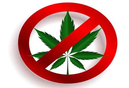 Key Concerns About Cannabis Scarcity