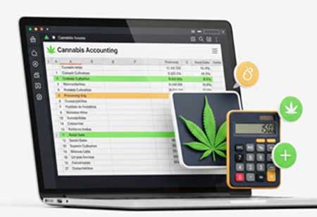 Best Practices for Cannabis Dispensary Accounting  