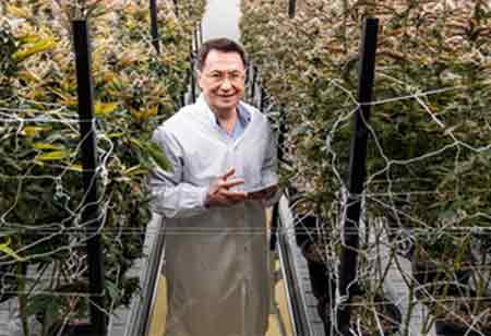 Standardizing Genetic Authenticity in Cannabis Seed Shipping