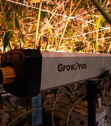 Chuck McKenrick, Grow Pros Solutions | Cannabis Business Insights | Led Grow Lights Manufacturer Of The Year 2025
